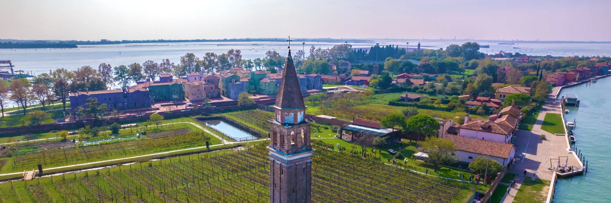 Vue aérienne sur les vignes de Mazzoro 