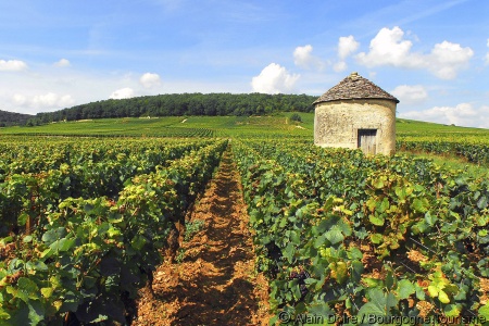 DBC_AIPP - La Borgoña y el valle del Doubs