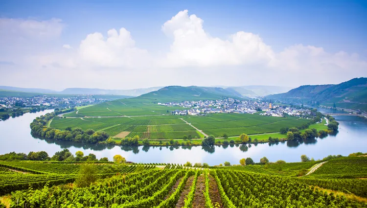 Vue panoramique sur la Moselle 