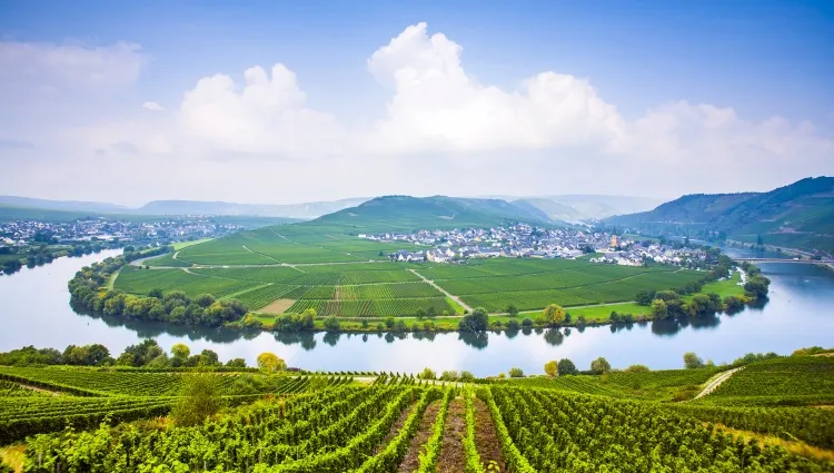 Vue panoramique sur la Moselle 