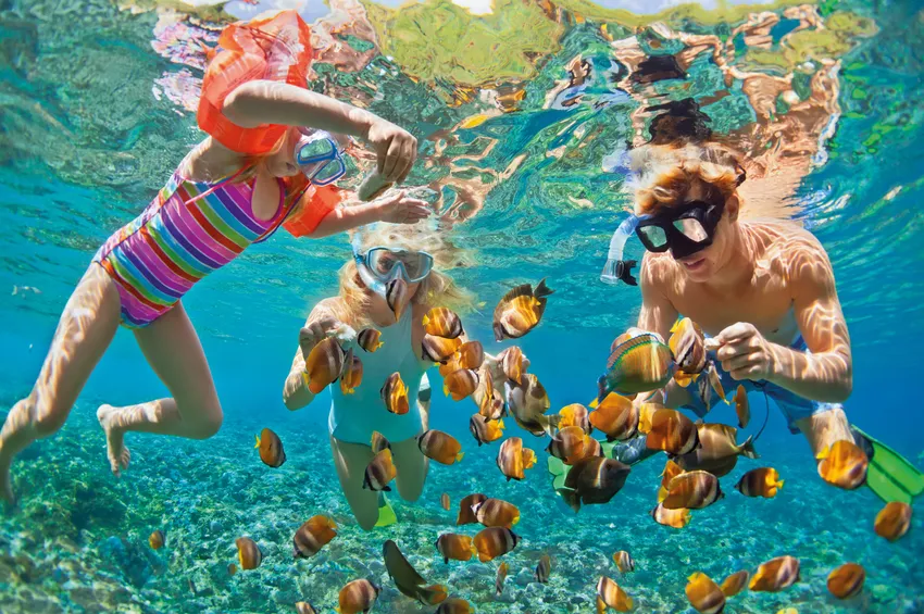 Faire du snorkeling dans les eaux tropical de la Thaïlande 