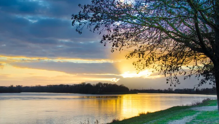 Coucher du soleil sur le Rhin 