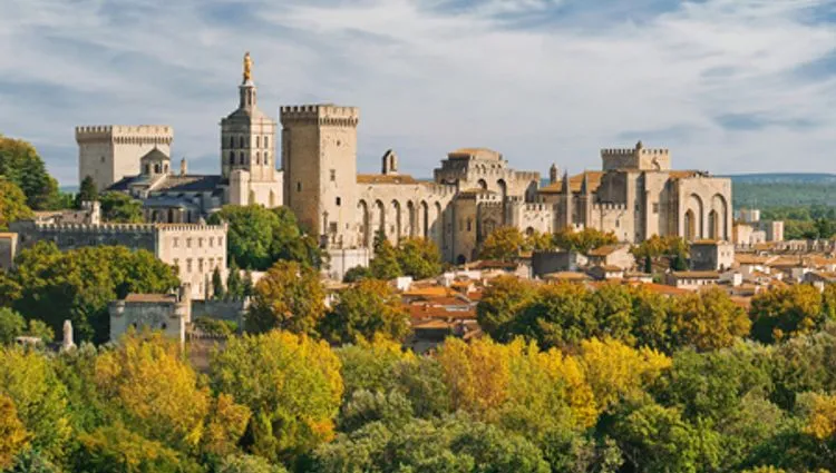 Vignette la cité des papes d'Avignon 