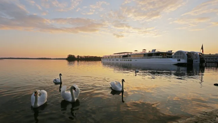 MS Elbe Princesse