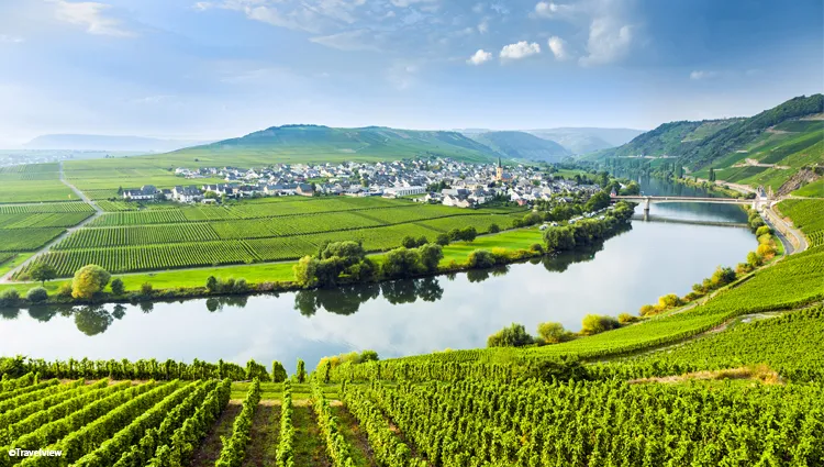 La Moselle, fleuve pittoresque 