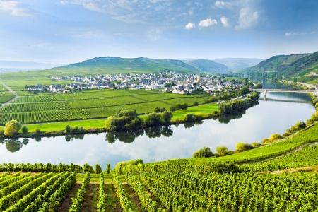 An Exceptional Cruise Through the Fairytale-like, landscapes on the Moselle and the Romantic Rhine (port-to-port cruise)