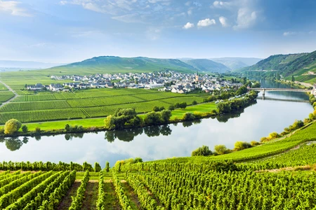 La Moselle, fleuve pittoresque 