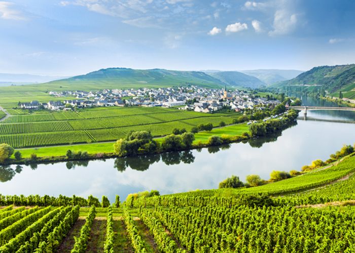 Moselle féérique et Rhin romantique, navigation exceptionnelle à la confluence des fleuves - 7
