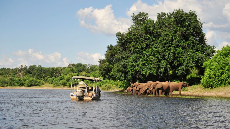 Safari-croisière au fil du Zambèze - Afrique du Sud, Botswana, Namibie, Zimbabwe (formule port/port) - 6