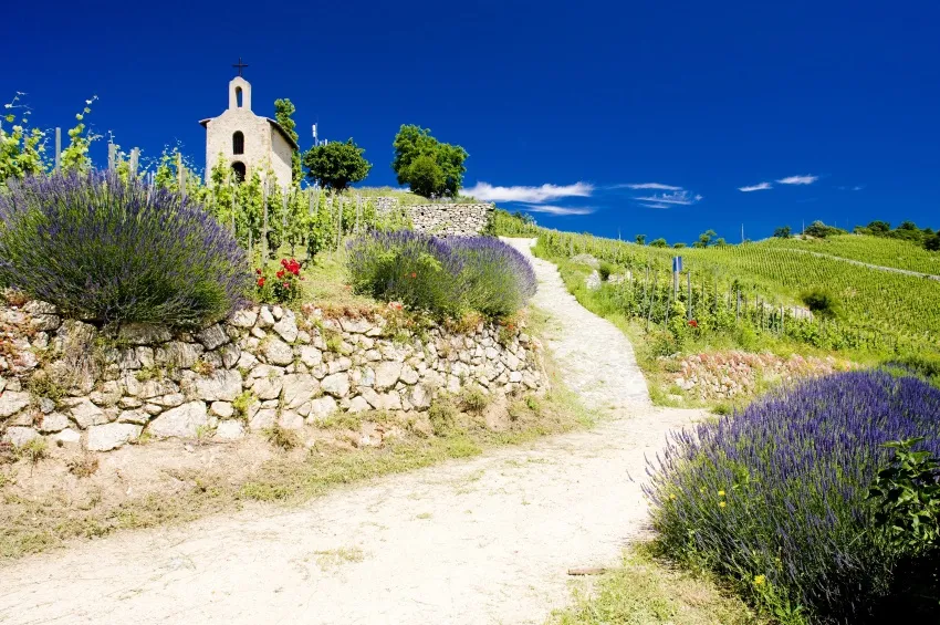 Promenade dans la nature de Tain l'Hermitage 