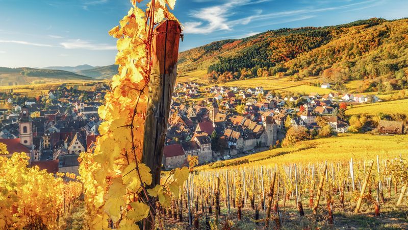 Croisière L'Alsace pittoresque et gourmande (formule port/port)