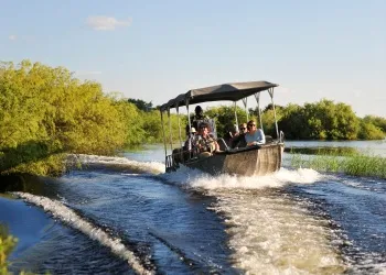 Rivière de Chobe en Afrique