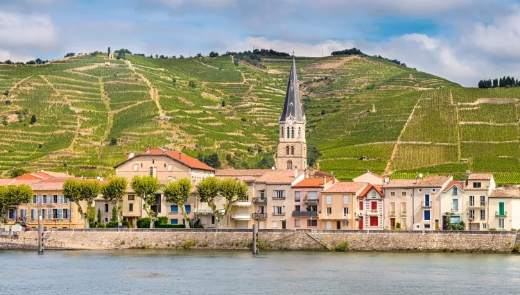 Vue sur Tournon-sur-Rhône 