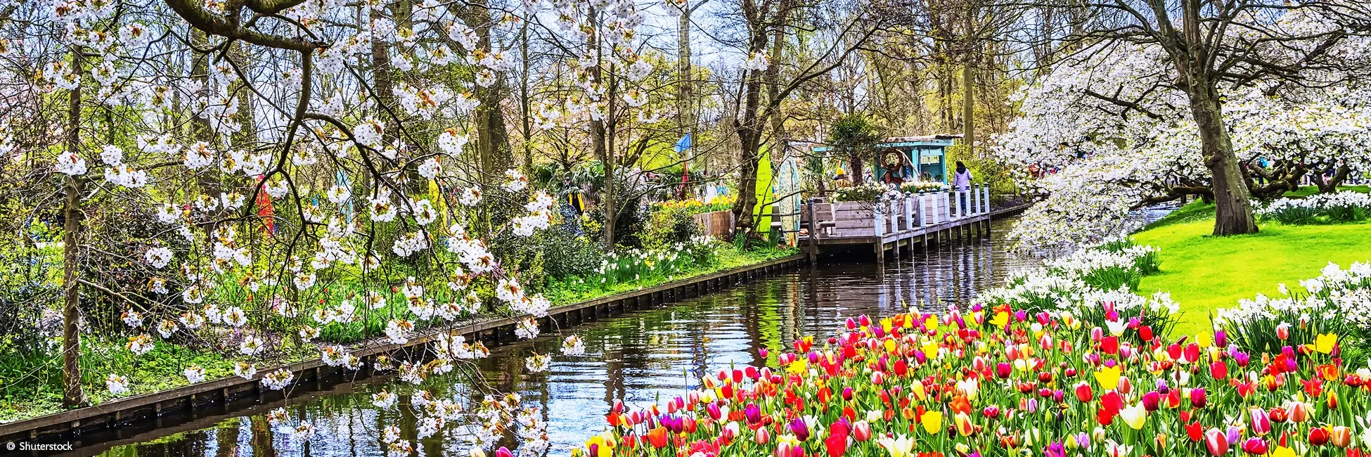 Slider tulipes du parc Keukenhof 