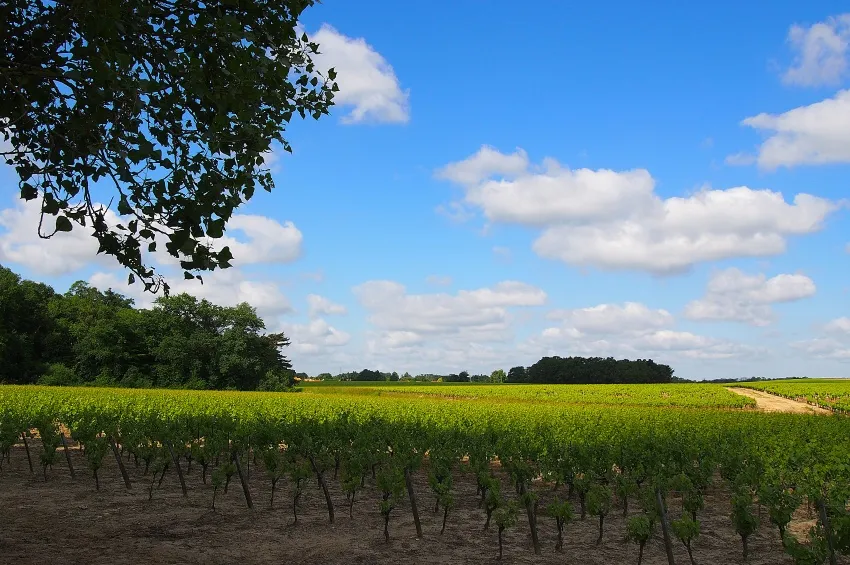 La route du Muscadet 