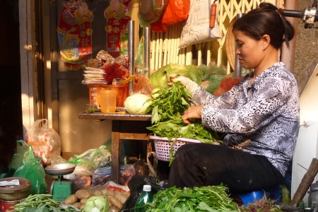 1H6_PP - De Delta del Mekong al los Templos de Angkor & Hanoi y la Bahía de Along