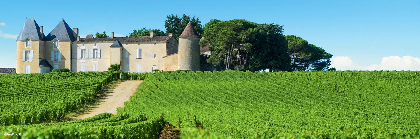 The 7 ports of Gujan-Mestras, discovery walk with the family - Guide  Bordeaux Gironde