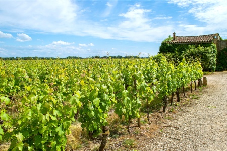 France - Atlantique Sud - Bordeaux - Croisière Bordeaux et sa Région