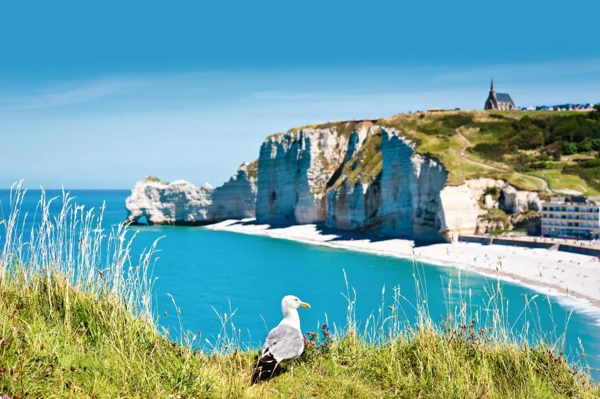 Les falaises d'Etretat 