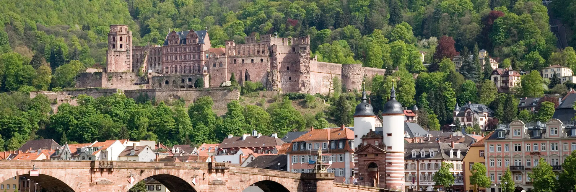 La ville d'Heidelberg 