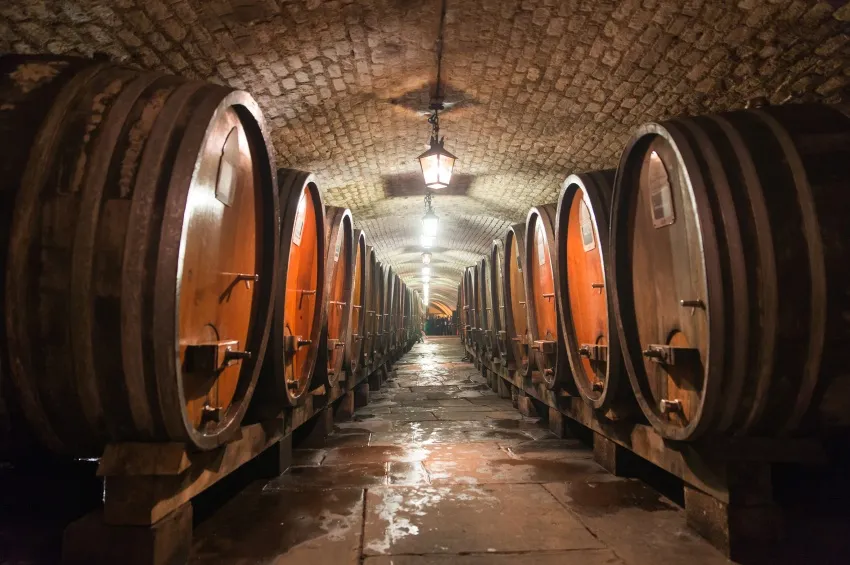 Cuves à vins des hospices de Strasbourg 