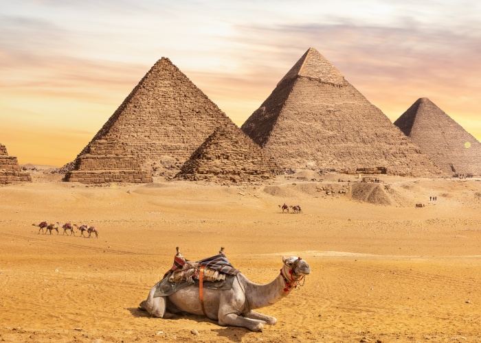 Le Caire et les TRESORS de la MER ROUGE Entre Egypte et Jordanie, l'oeuvre de l'Homme et de la Nature