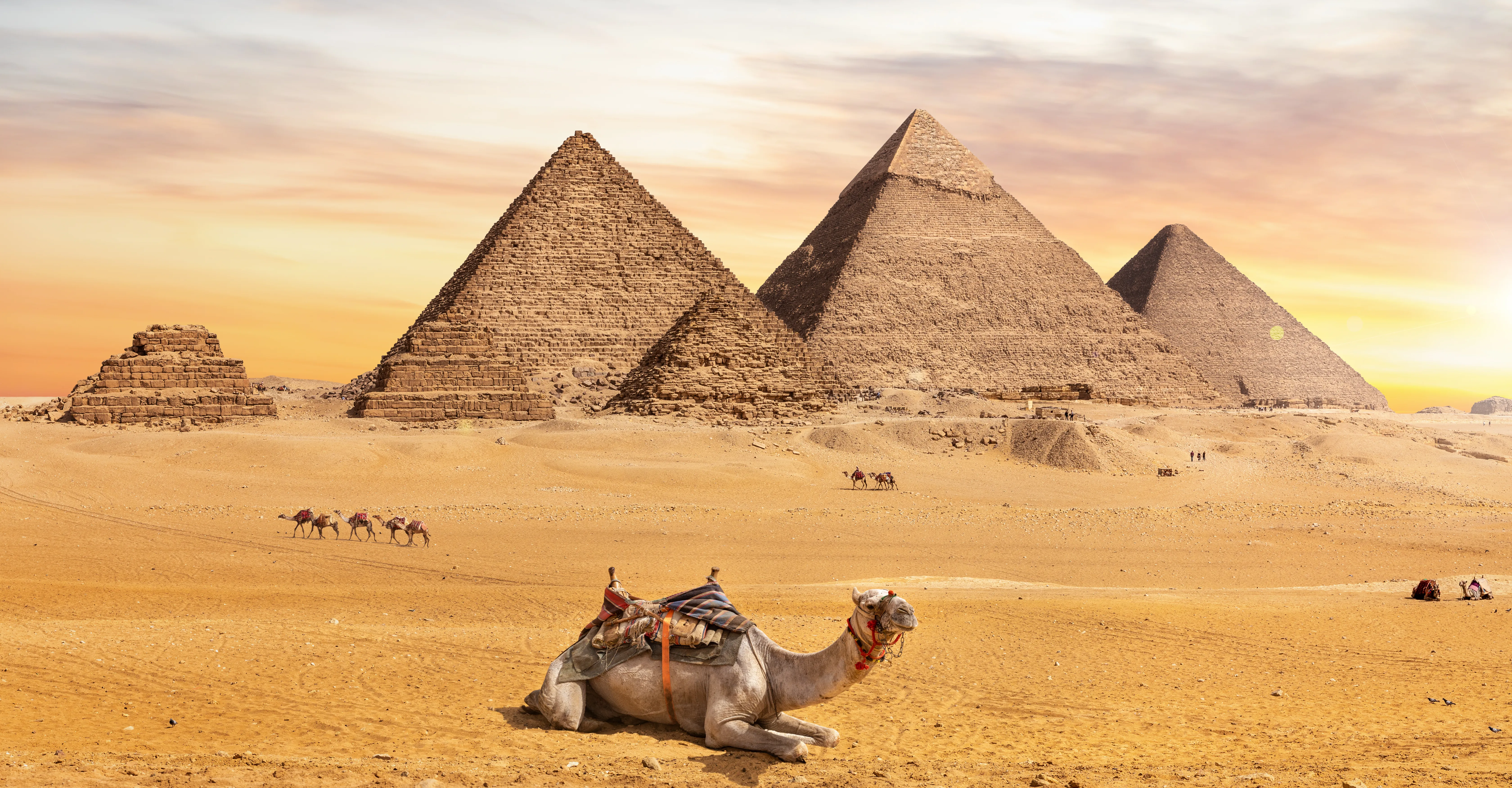 Les pyramides de Gizeh en ses chameaux 