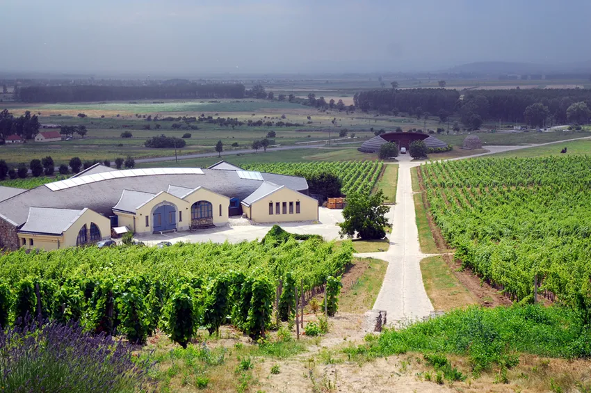 Vue sur le vignoble de Tokaj 
