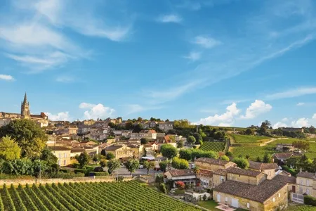 Vignette vignes bordelaises 