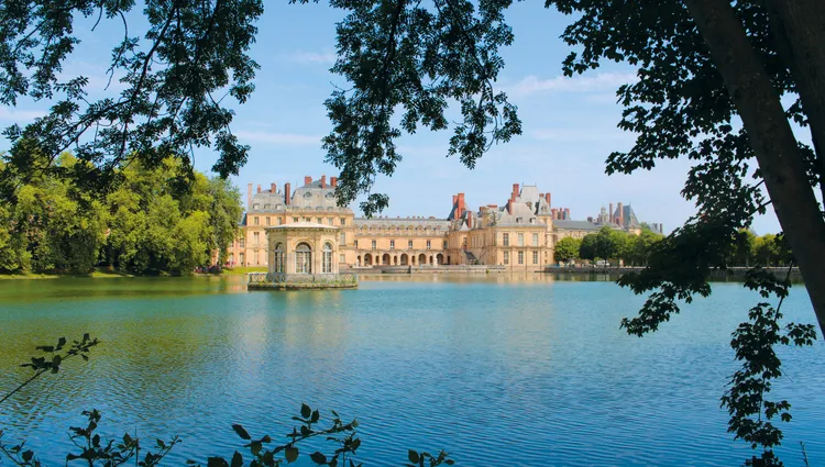 L'étang aux carpes de Fontainebleau 