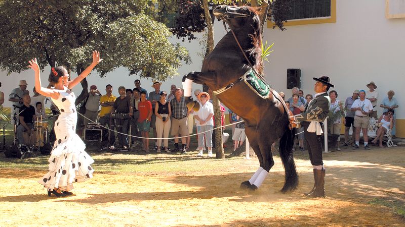 La Andalucía auténtica: El Carnaval de Cádiz Arquitectura, tradiciones, pueblos blancos y especialidades culinarias - SVK_PPES