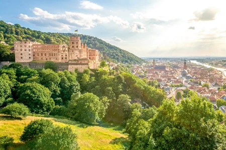 Vignette Heidelberg en Allemagne 