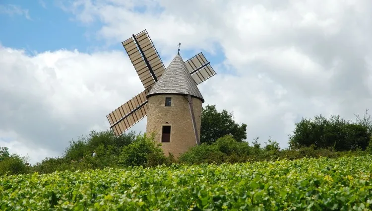 Moulin Sorine de Santenay