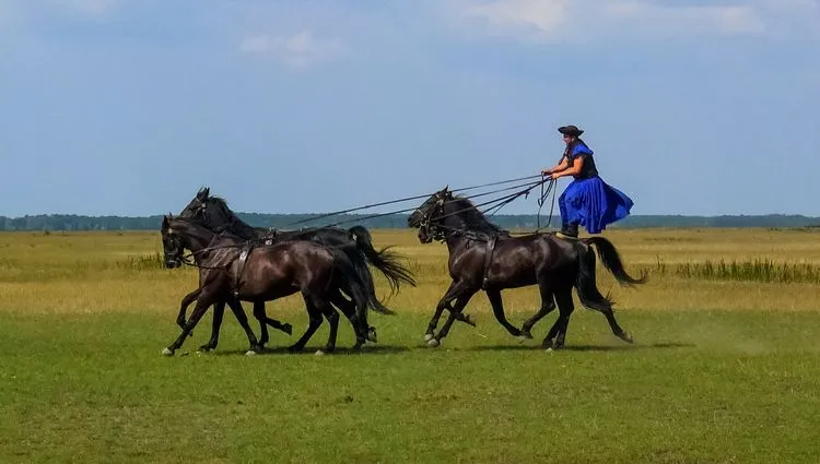 Spectacle équestre à Puszta 