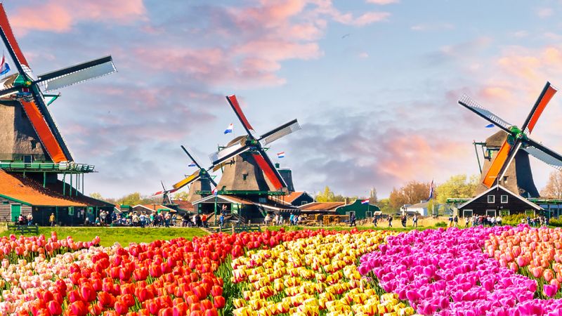 Itinéraire inédit de la Belgique aux Pays-Bas - 5
