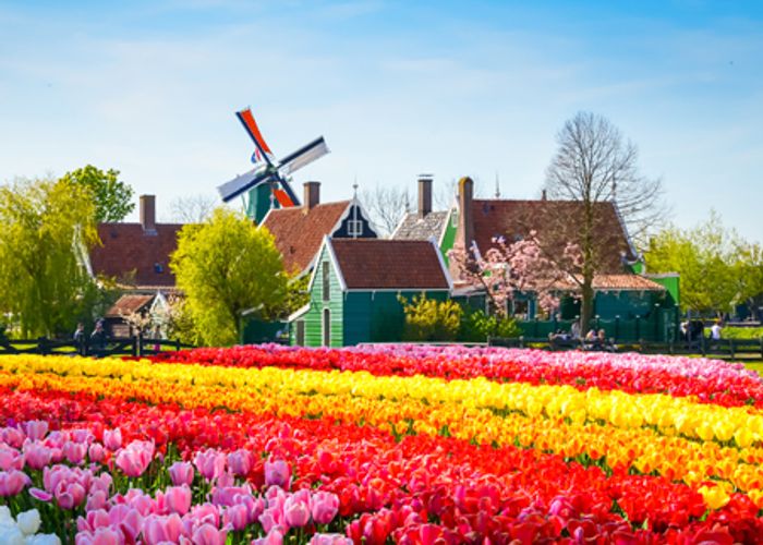 La Hollande, pays des tulipes (formule port/port)