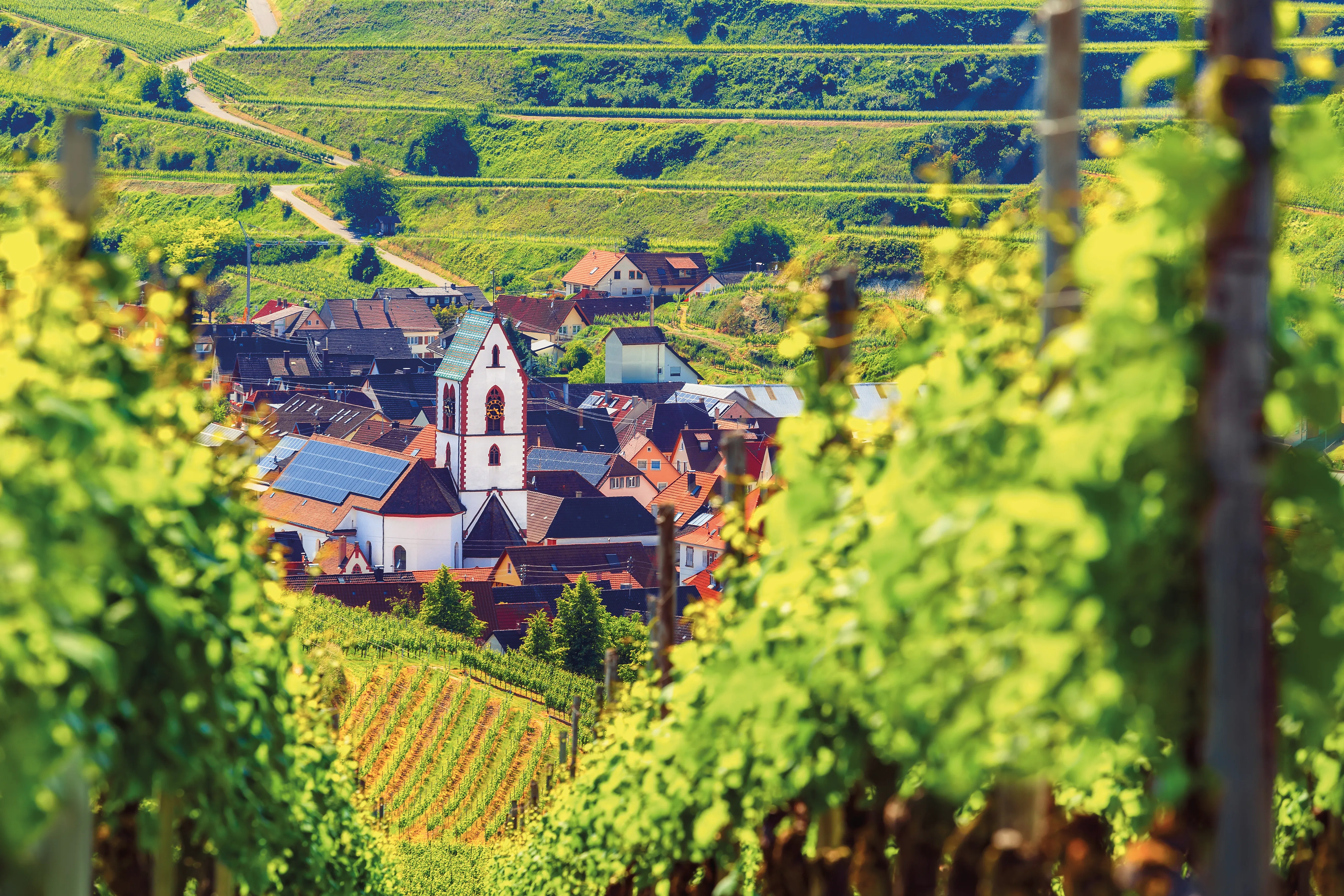 Point de vue sur Kaiserstuhl 