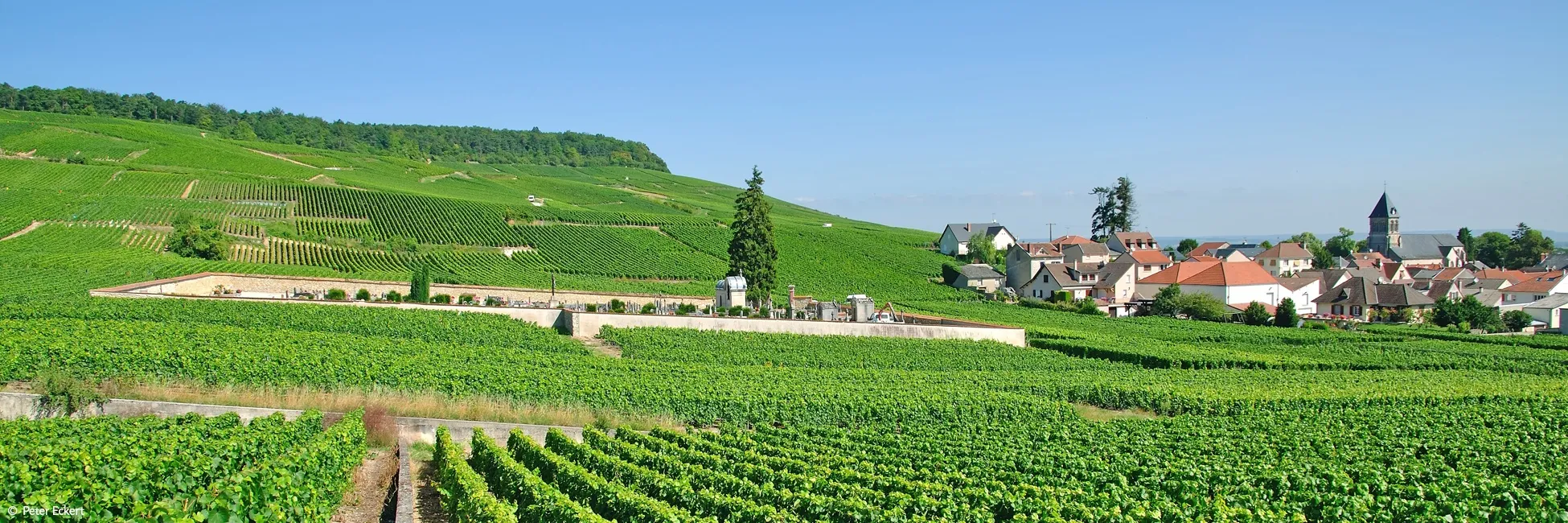 Epernay sur le canal de la Marne avec CroisiEurope