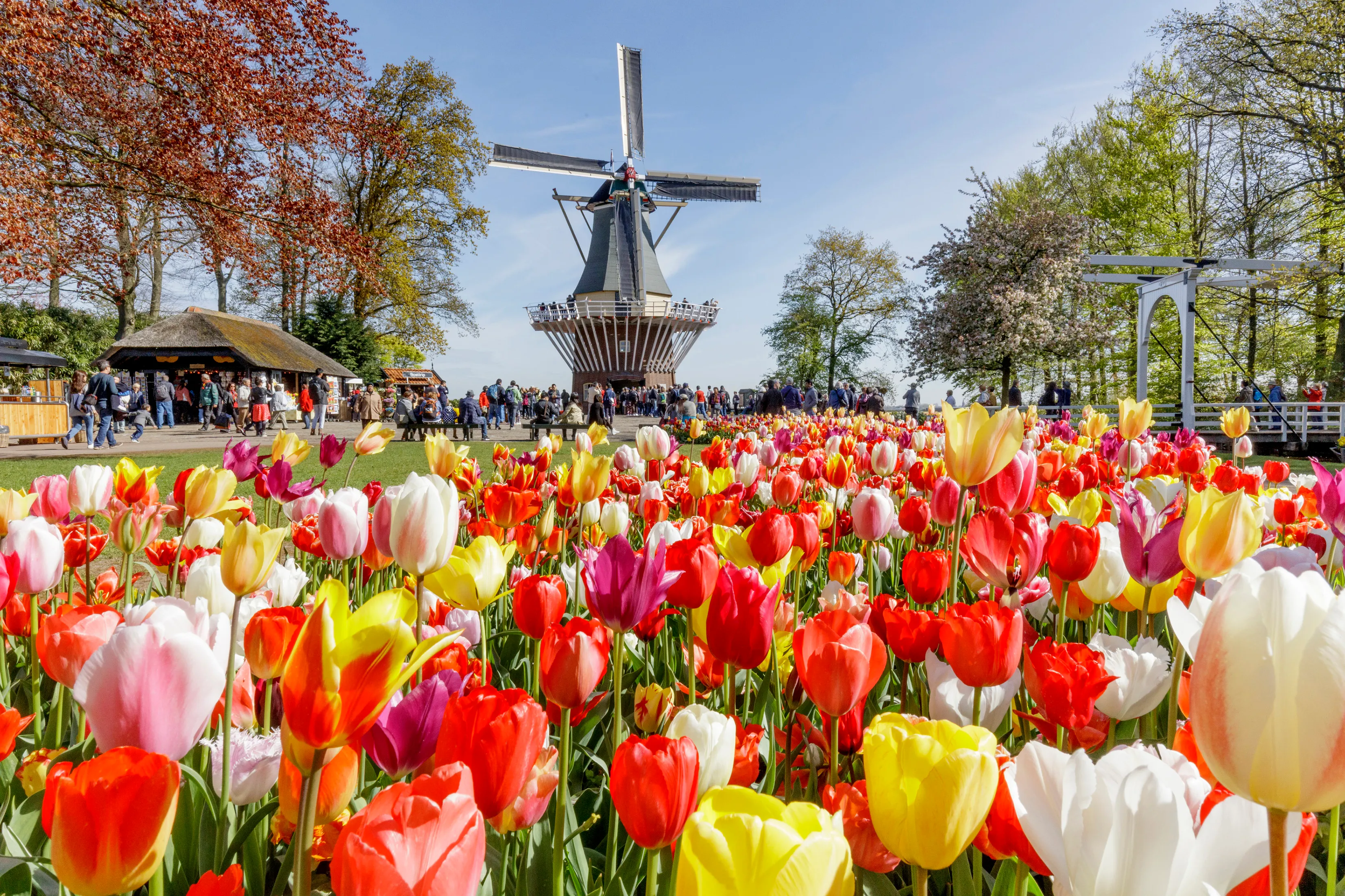 Moulin dans le parc de Keukenhof 