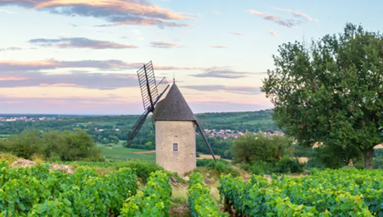Santenay en Bourgogne avec CroisiEurope