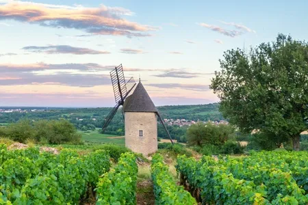 Santenay en Bourgogne avec CroisiEurope