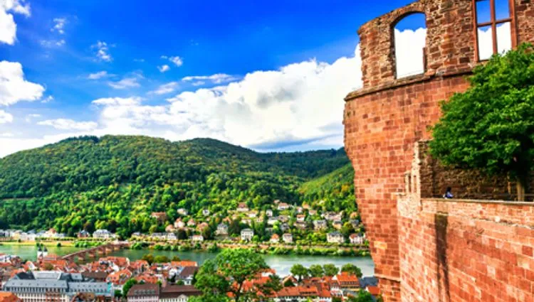 Vignette vue sur Heidelberg 