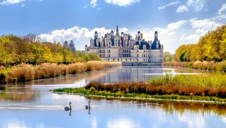 Le château de Chambord et sa nature 