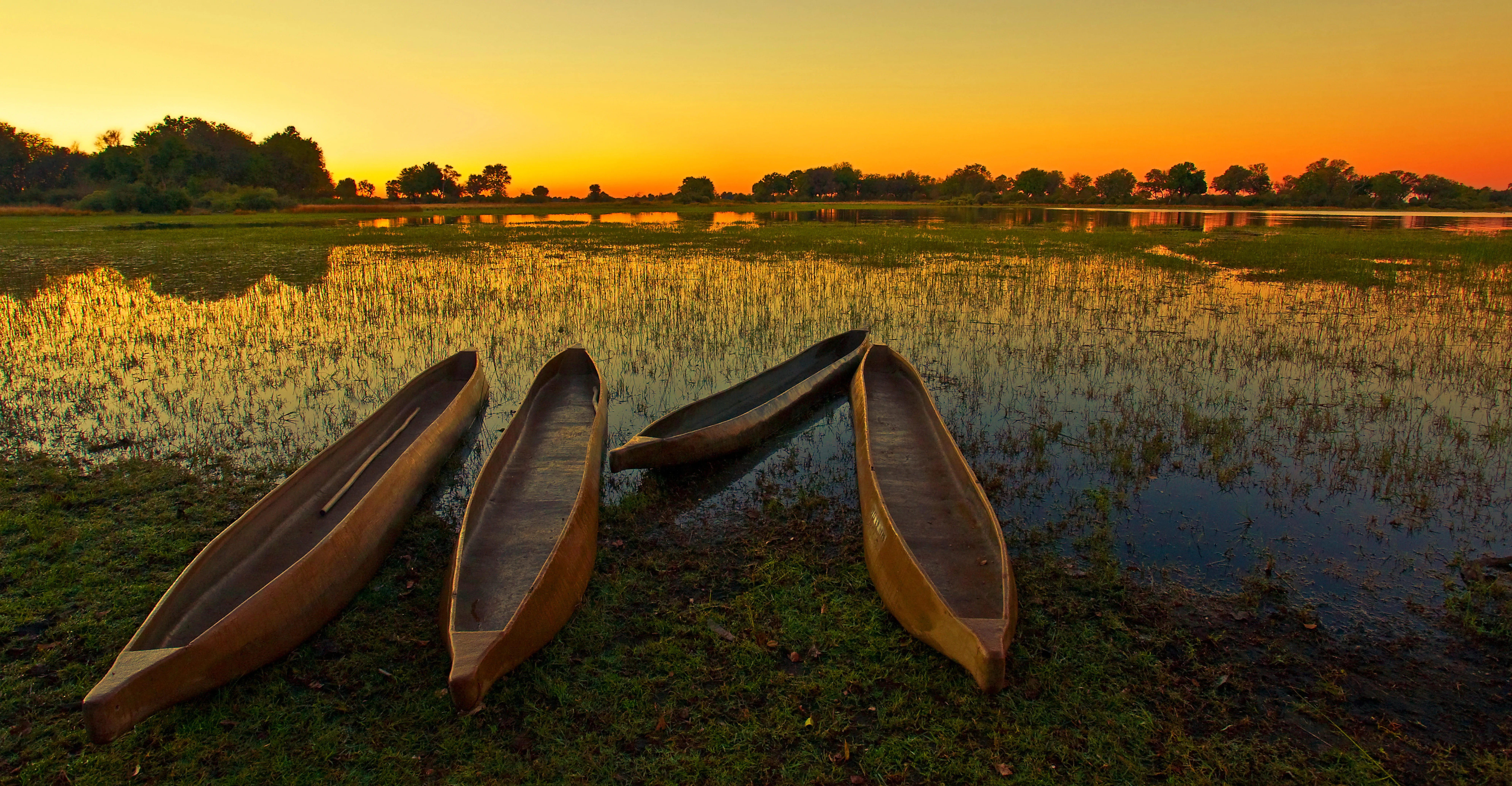 La rivière du Botswana 