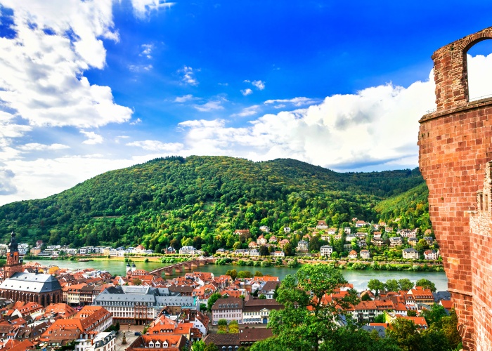 La Moselle, la vallée du Rhin romantique et les charmes de l'Alsace et de la Suisse - 12