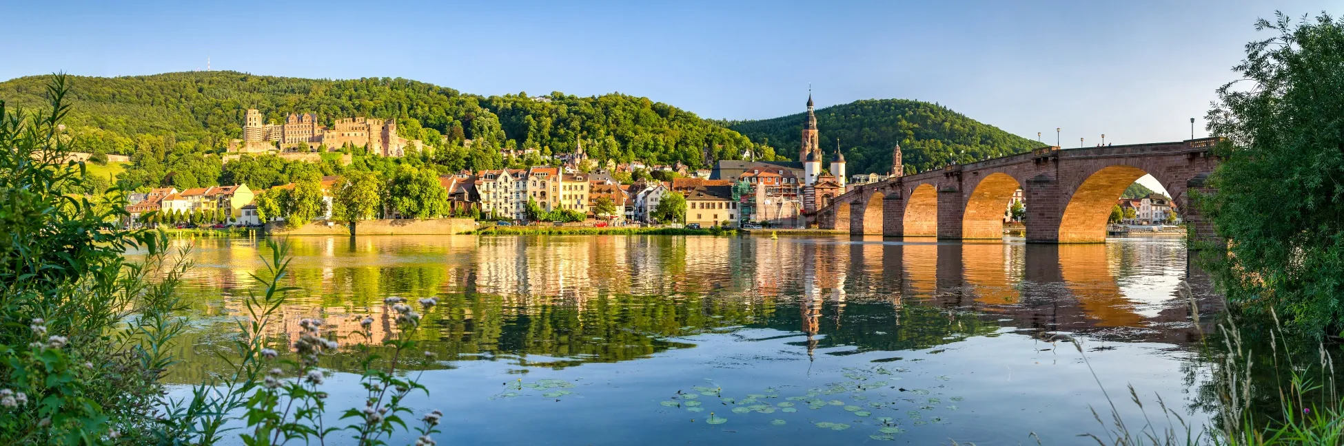 Le Rhin bordant Heidelberg 