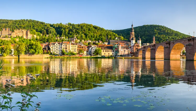 Le Rhin bordant Heidelberg 