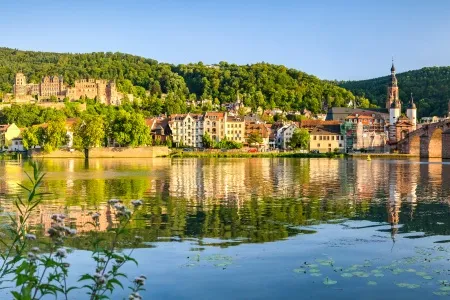 Le Rhin bordant Heidelberg 