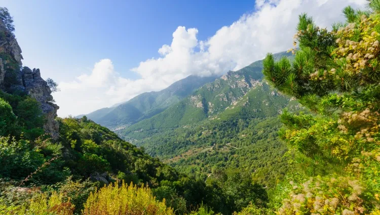 Les Gorges du Prunelli en Corse