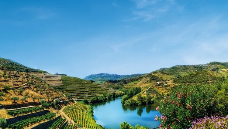 douro river cruise in portugal